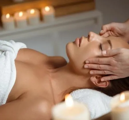 Domaine De La Fauvriere 3*