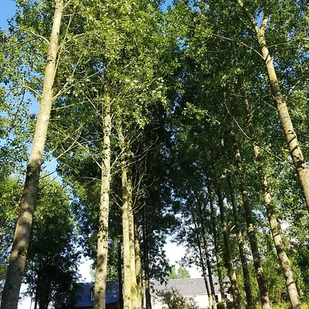 Gasthuis Domaine De La Fauvriere