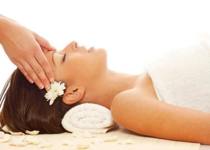 Domaine De La Fauvriere Maison d'hôtes Sainte-Honorine-de-Ducy