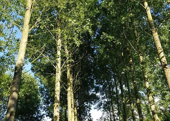 Guest house Domaine De La Fauvriere