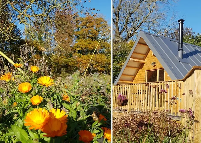 Guest house Domaine De La Fauvriere 3*